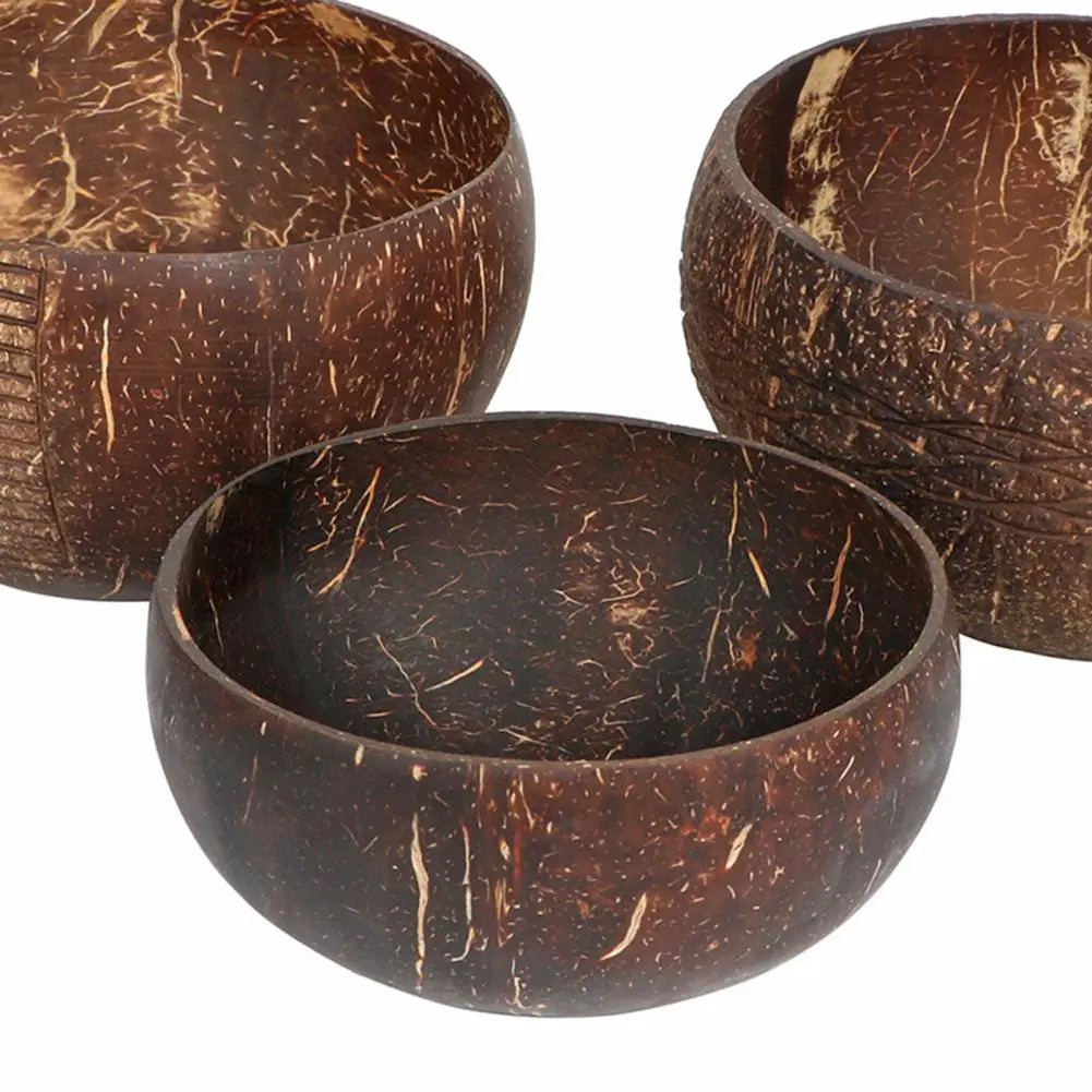 Coconut Shell Food Container Set – Carvalinia