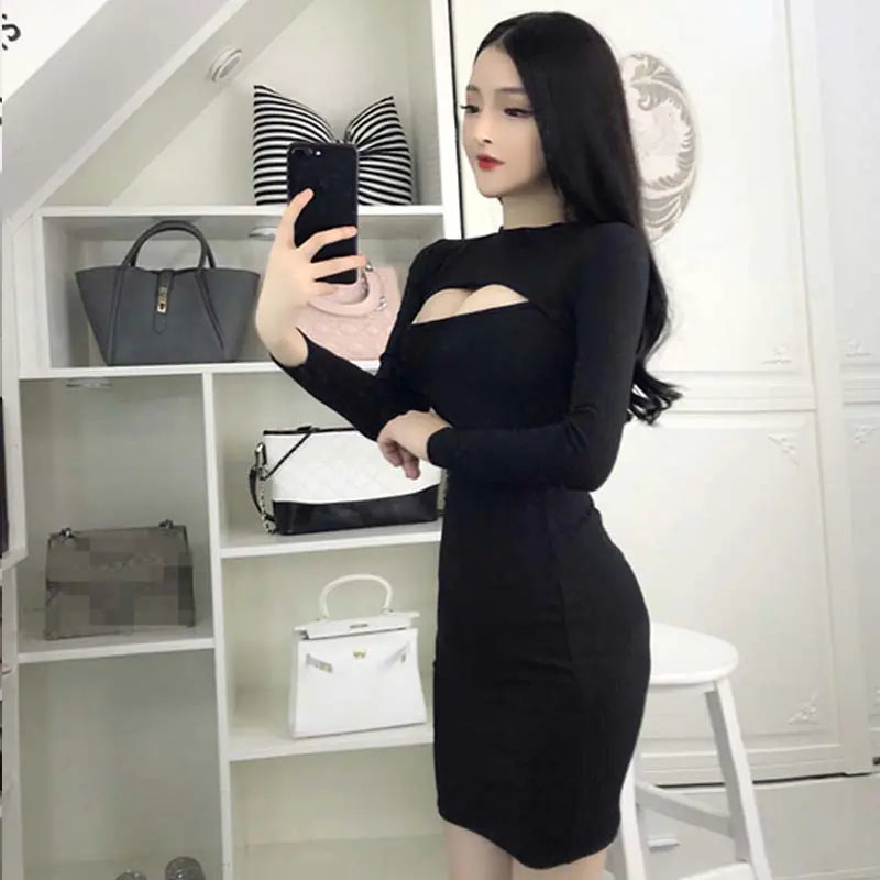 Sexy Long Sleeve Bodycon Dress