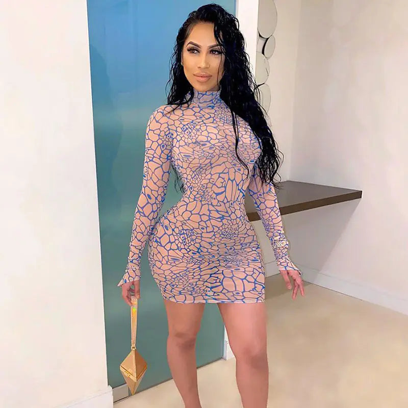 Autumn Winter Women's Digital Print Dress